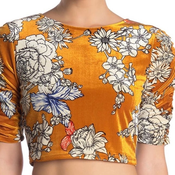 free press Tops - Free Press Velvet Ruched Crop Top